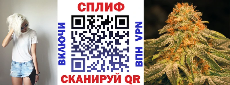 ссылка на мегу ссылка дарк нет состав Сурск МАРИХУАНА индика где купить наркоту